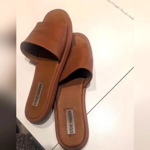 Steve Madden Women's Brown Slide Sandals